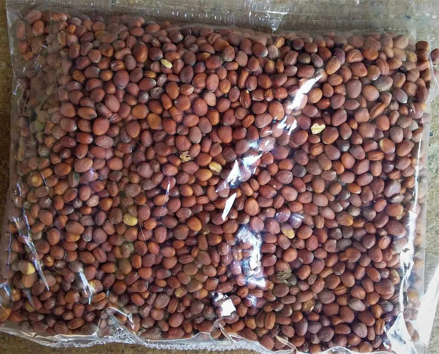 Long radish seeds
