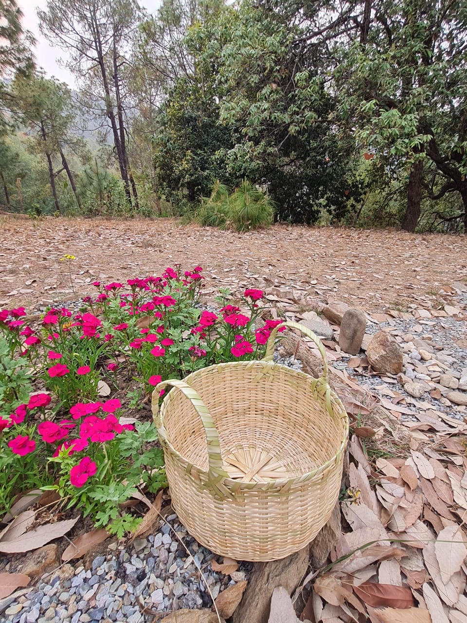 Handmade Bamboo basket for fruits with handle