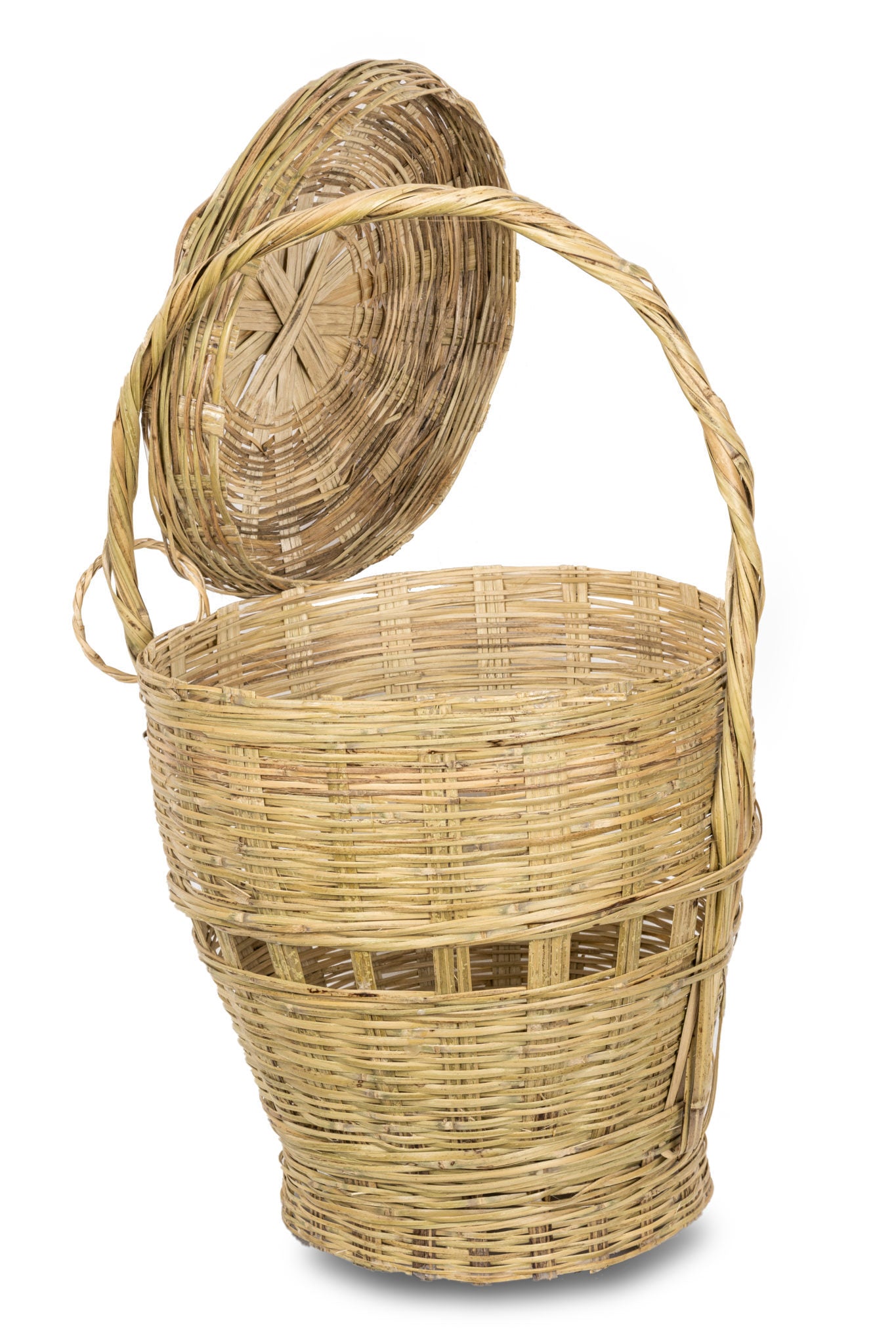 Ringal basket for fruits and vegetables lid open