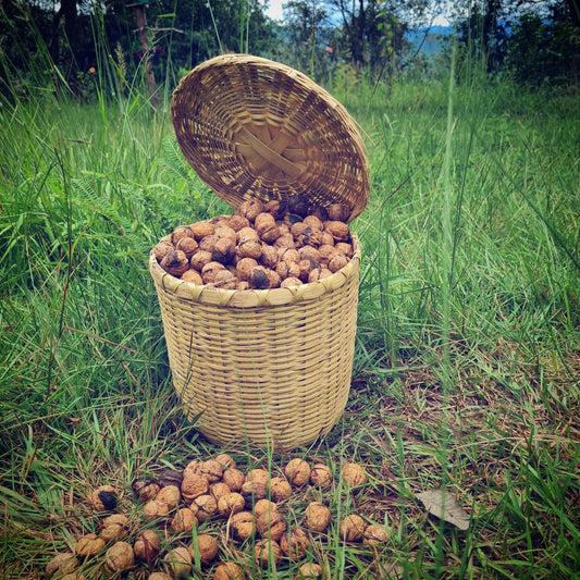 Walnuts from Kumaon